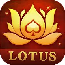 rummy bonus free download